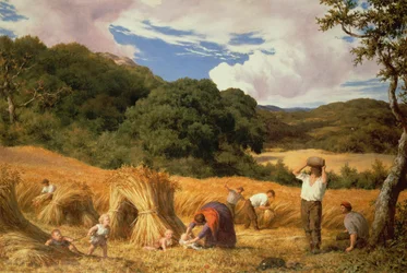 Kornfeld in Surrey, 1860